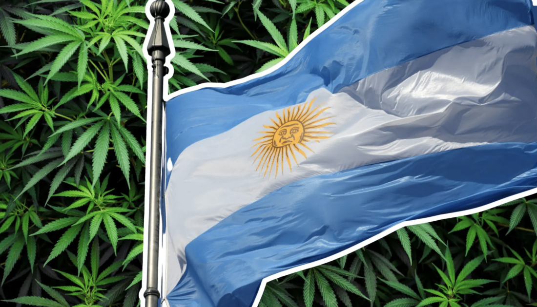 Leia mais sobre o artigo Argentina legaliza a maconha para uso medicinal!