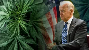 Leia mais sobre o artigo Joe Biden concede o perdão federal para porte de maconha nos USA